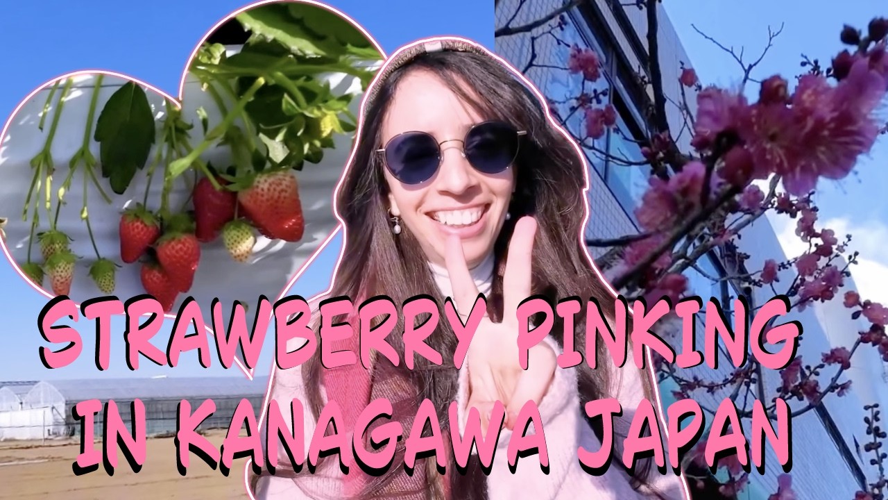 Japanese Strawberry hunt in japan !イチゴ狩り!
