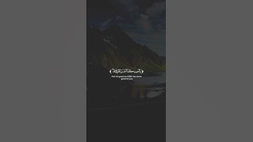 سورة القصص الآية(٧٧) بصوت القارئ #محمد_ديبيروف