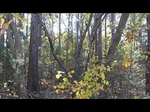 4504 Denton Road, Thomasville, NC home video tour