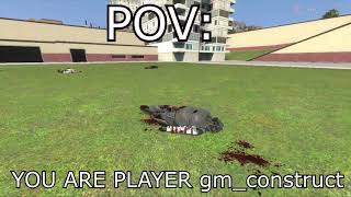 POV: YOU ARE PLAYER gm_construct