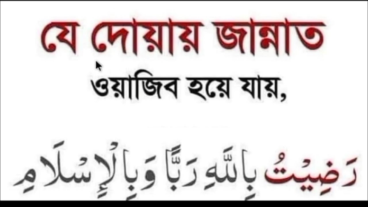 Eshaklarning porno suratlari