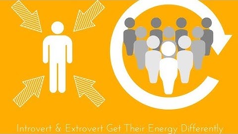 🤔Are YOU an Introvert? Extrovert? Empath? Highly Sensitive Person? What