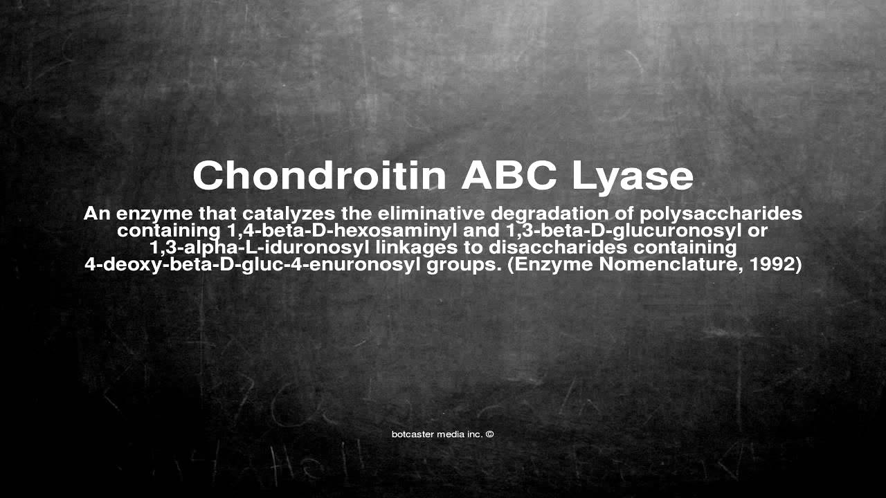 Medical vocabulary What does Chondroitin ABC Lyase mean YouTube