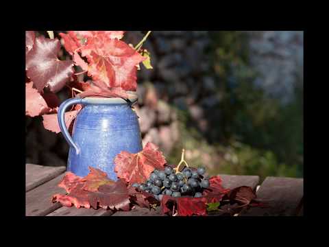 ヴィヴァルディ：ヴァイオリン協奏曲集《四季》から 「秋」 第1楽章Antonio Vivaldi：The Four Seasons "Autumn