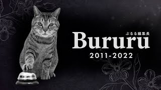 Bururu passed away.