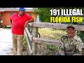 He Caught 191 Fish by Illegal Method in a Park