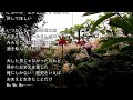 2026-9-25 別れの日に/すぎもとまさと