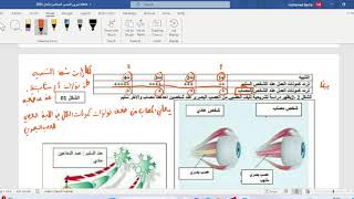 أولى_ثانوي_تمرين_4_التحكم_العصبي_الرسالة_العصبية