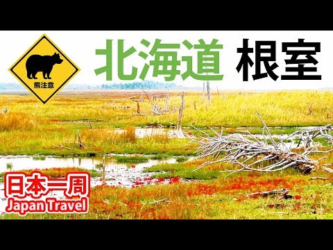 (76)【第５５日】さいはての地　根室で野生動物を見る《夏休み日本一周の旅 西帯広駅→根室駅》10/3-101