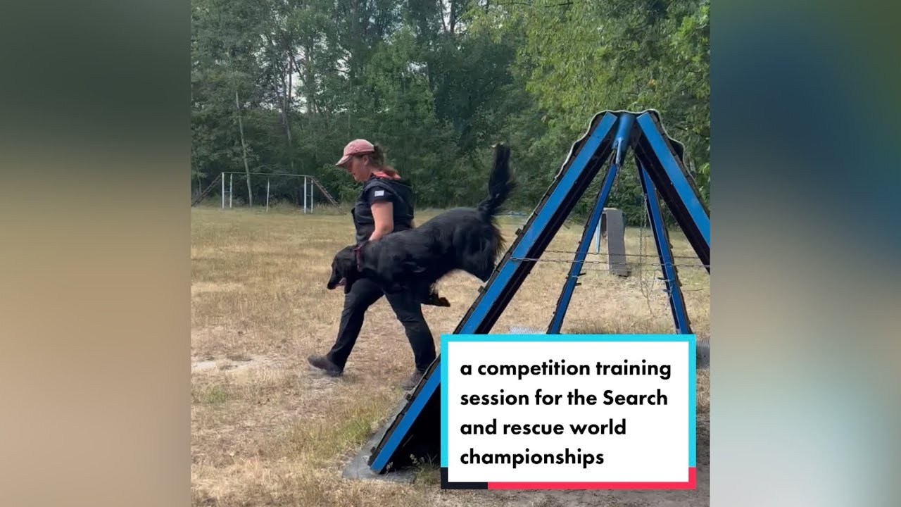 A competition training session for the search and rescue world ...
