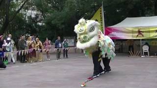 Human Mobile Stage 120A, 7 Jan 2018 Kung Fu Corner Show, Lion Dance Kung Fu