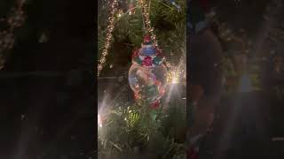 The Tree! #christmas #decorations #snowglobes #glitter #youtubeshorts #shorts