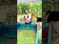 Home use regular sale hot popular chaff cutter machines #fcnfm #farmmachine