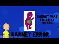 Barney Error 2
