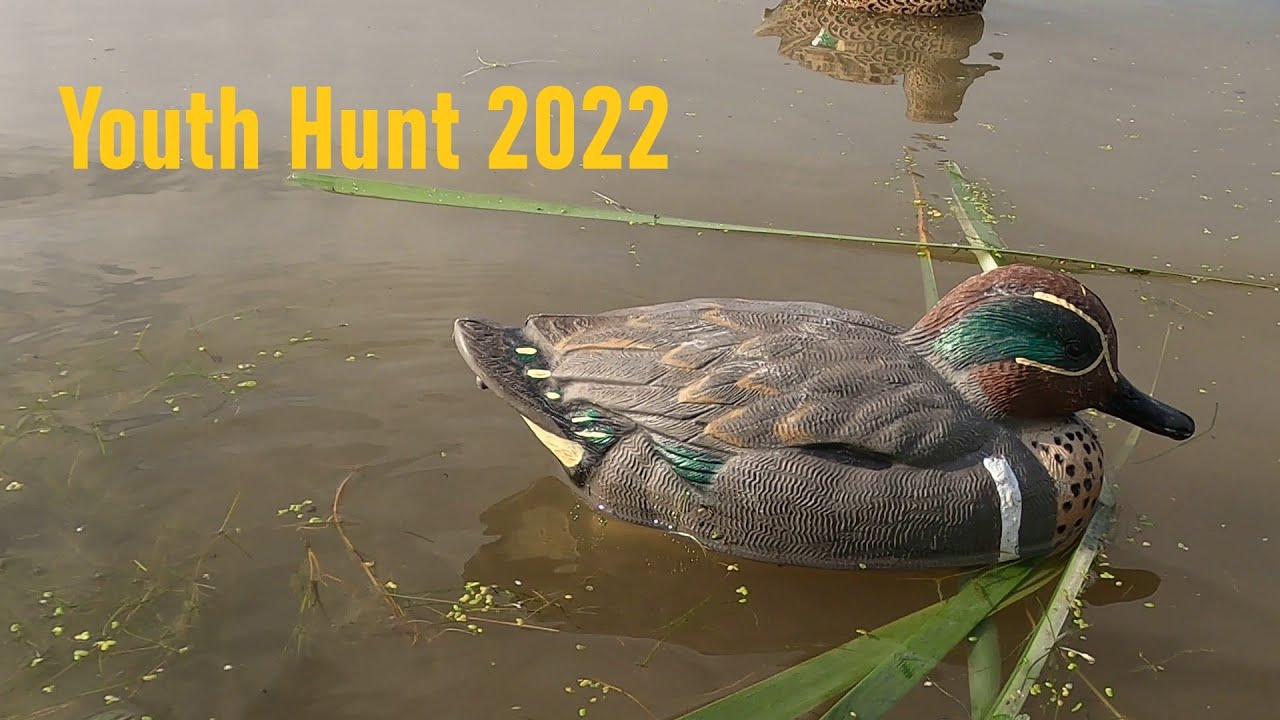 Youth Duck Hunt 2022 YouTube