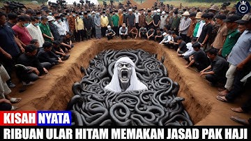 Jatim Menyala!! Pak Haji Yang Rajin Ibadah Kuburnya Dipenuhi Ribuan Ular Misterius