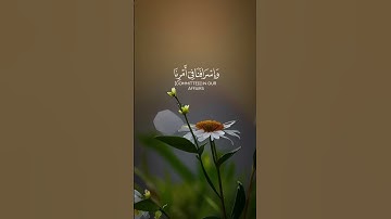 ۝وما كان قولهم إلا أن قالوا ربنا اغفر لنا ذُنوبنا وإسرافنا في أمرنا۝ #جابر_القيطان #سورة_آل_عمران