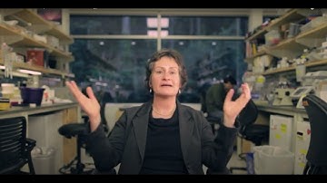 UCSF scientists the power of stem cell biology