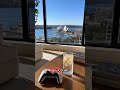 Ποιοι μένουν εκτός GTA 6