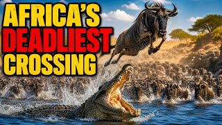 The Great Migration: Africa's Most Dangerous Journey.