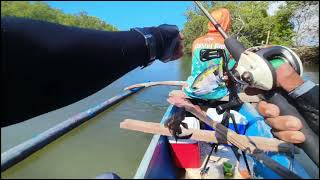 Download Lagu Andaming talingan o tompel merrah ,one spot snapper / Boss LEO MP3