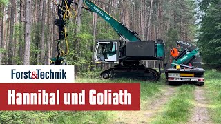 Hannibal und Goliath