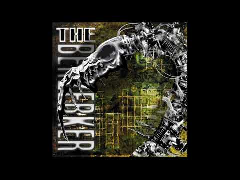 Chronological Order Of Putrefaction Video