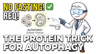 Scientists Found a Way to Activate Autophagy While Eating — Most Doctors Don't Know This Yet