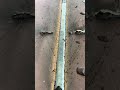 #welding #viral #welder #weldernation