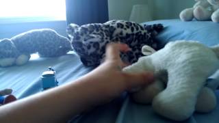 Plushietales The End Of Silliness? Part 6 Softys Announcement