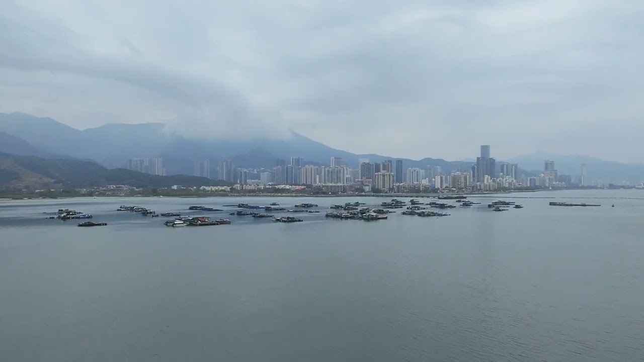 馬年年初一朝著鳳坑飛去