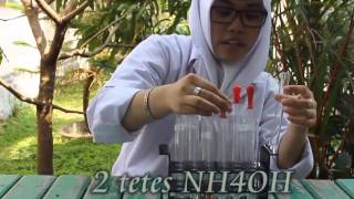 Kimia Larutan Zn Smf Isfi Njm Xi-B