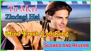 Tu Meri Zindagi Hai❤Lofi Song | Slowed And Reverb