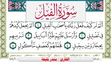 سورة الفيل بندر بليلة Surah Al Feel bandar balilah برواية حفص عن عاصم