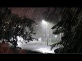 Tropical Storm - Heavy Rain, Strong Winds with Thunderstorm Sounds - Wind Rain Sounds for Sleeping