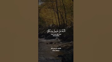 القارئ : إدريس أبكر قرآن كريم حالات واتس اب دينية 💛