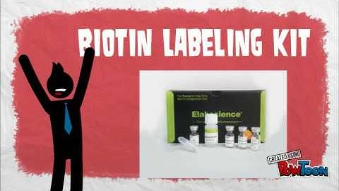 Biotin Labeling Kit