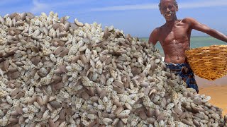 MOLE CRABS HUNTING | SEA FOOD RECIPE | Prepare by KARUPPASAI GRAND FATHER -KGF COOKING CHANNEL