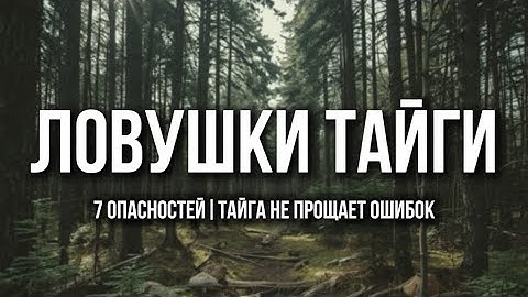 ЛОВУШКИ ТАЙГИ – Какие опасности поджидают неопытного путника? Рассказы о тайге