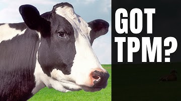 Does your PC have TPM 2.0 for Windows 11?  Trusted Platform Module