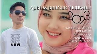 FULL ALBUM LAGU BERGEK TERBARU 2023 ( VIRAL TIKTOK )