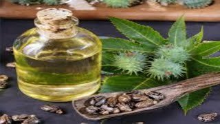 How to make Castor Oil