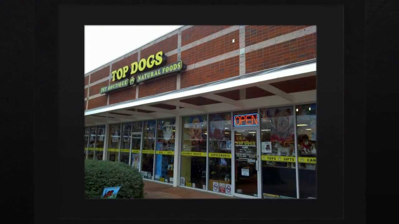 Top Dog Pet Boutique Pet Supply Store in Kennesaw, GA YouTube
