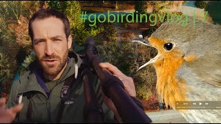 Spring Bird Sounds 7 Birding Vlog
