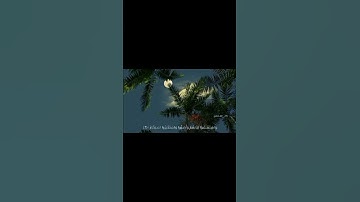 فقلت استغفروا ربكم إنه كان غفارا 💙 القارئ إسلام صبحي من سورة نوح