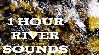 Relaxing River Sounds - Peaceful River - 4k - 1 hour