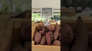 Where Hot Girls In Kl Shop For Groceries