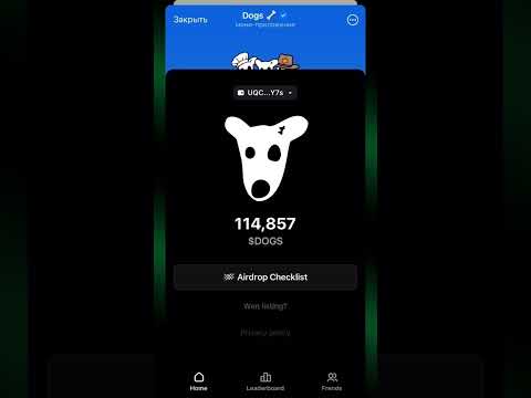 DOGS АИРДРОП КАК