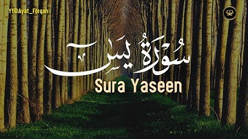 سورة يس كاملة - للقارئ عبدالرحمن أبا الخيل | 1447 هـ