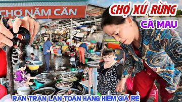 Đẹp Choáng Ngợp RỪNG NGẬP MẶN CHỢ NĂM CĂN CÀ MAU Rắn Lên Bờ, HẢI SẢN HÀNG HIẾM RẺ CHỜ NGƯỜI MUA KPVL